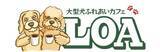 「静岡県初上陸！大型犬とふれあえるカフェLOAが2024年1月11日（木）沼津市にオープン～全国的にもめずらしい大きなモフモフしたわんちゃんとのふれあいカフェ～」の画像1
