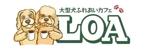 静岡県初上陸！大型犬とふれあえるカフェLOAが2024年1月11日（木）沼津市にオープン～全国的にもめずらしい大きなモフモフしたわんちゃんとのふれあいカフェ～