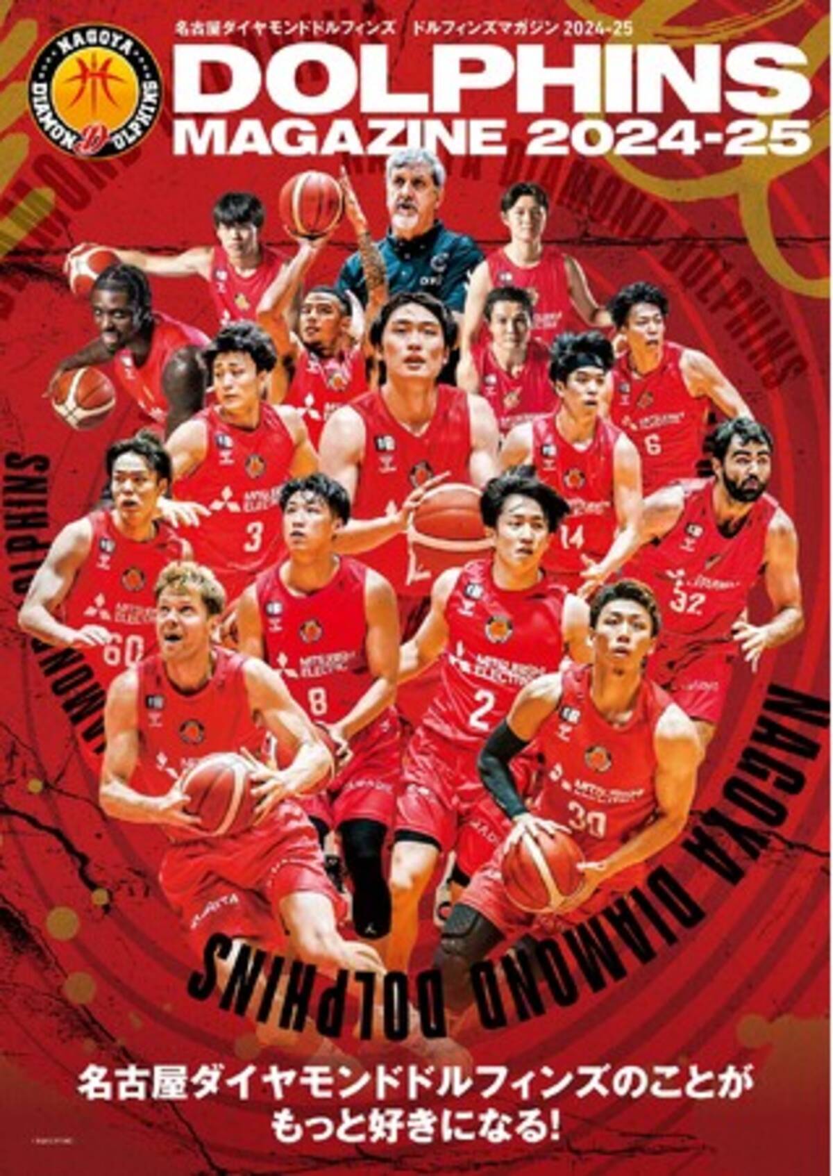 Bリーグ・名古屋ダイヤモンドドルフィンズがもっと好きになる 