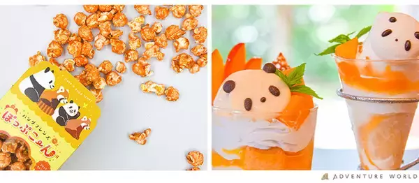 ～近畿大学が栽培・研究するフルーツとのコラボ商品を開発！～　「近大柑橘」ブラッドオレンジ ポップコーン、「近大マンゴー」スイーツ を販売します