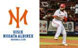 「オイシックス新潟アルビレックス・ベースボールクラブ【新入団選手】エドウィン・エスコバー 契約合意のお知らせ」の画像1