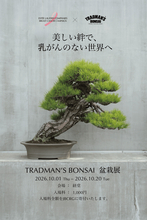 【10月20日開催】京都・清水寺でピンクライトアップ＆ドローンショーを実施。TRADMAN’S BONSAIによる特別展示も開催中