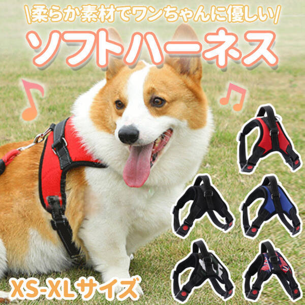 柔らか素材でワンちゃんに優しい ハーネス 犬 大型犬 中型犬 小型犬 犬用 が販売開始します 22年5月12日 エキサイトニュース 柔らか素材でワンちゃんに優しい ハーネス 犬 大型犬 中型犬 小型犬 犬用 が販売開始します 22年5月12日 エキサイトニュース