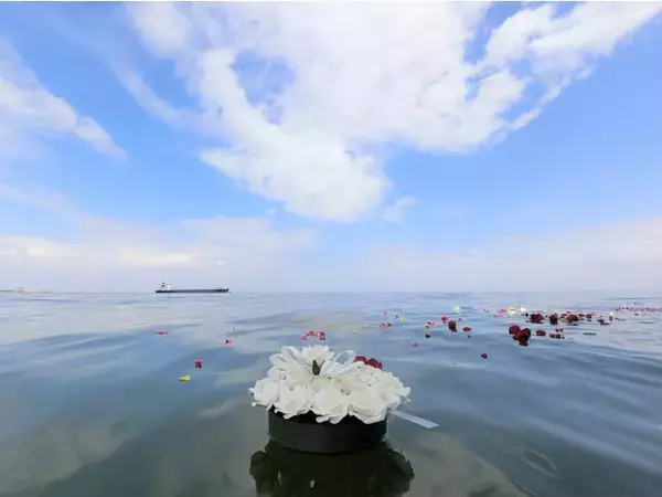 SDGｓ「海の豊かさを守ろう」海洋散骨による環境への影響を調査お墓・樹木葬の環境負荷も比較　SDGｓ×自然葬の特設サイト本日公開