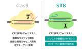 「ST8がゲノム編集技術の産業利用へ道を開く！」の画像1