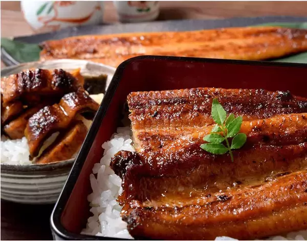 夏の土用の丑の日は家族で、おうちで鰻を食べよう！ご自宅で楽しむ「国産うなぎ蒲焼 大ボリューム15人前」セットが登場