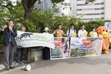 「環境NGO3団体、日清食品株主総会でアピール」の画像1