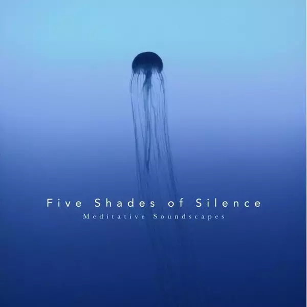 静寂の音の旅 - 多彩な表情を描き出す瞑想的体験音楽が完成！