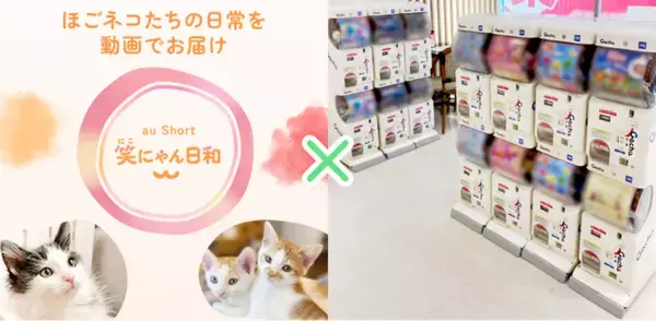 「笑にゃん日和Catchu The Future」共に生きる社会の実現へ～企業が支える持続可能などうぶつ保護の支援モデル～