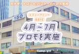「【ネイティブキャンプ留学】語学学校「SGIC」4月～7月プロモを実施」の画像1
