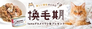 《tama》美しい被毛作りにオススメのウェットフードを先着200名様にプレゼント