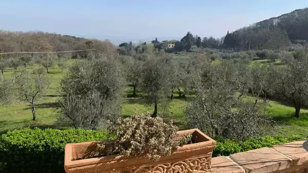 イタリア発、オリーブがつなぐ地方の再生。サラリーマンから転身した農園主が挑む「農家を経営者に、荒れ地を農園にする」おいしい取り組み。「農家の58.7%が70歳以上」という少子高齢化時代に生き残る戦略