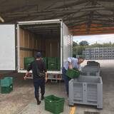 「イタリア発、オリーブがつなぐ地方の再生。サラリーマンから転身した農園主が挑む「農家を経営者に、荒れ地を農園にする」おいしい取り組み。「農家の58.7%が70歳以上」という少子高齢化時代に生き残る戦略」の画像10