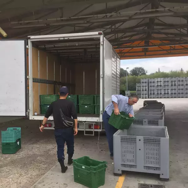 「イタリア発、オリーブがつなぐ地方の再生。サラリーマンから転身した農園主が挑む「農家を経営者に、荒れ地を農園にする」おいしい取り組み。「農家の58.7%が70歳以上」という少子高齢化時代に生き残る戦略」の画像