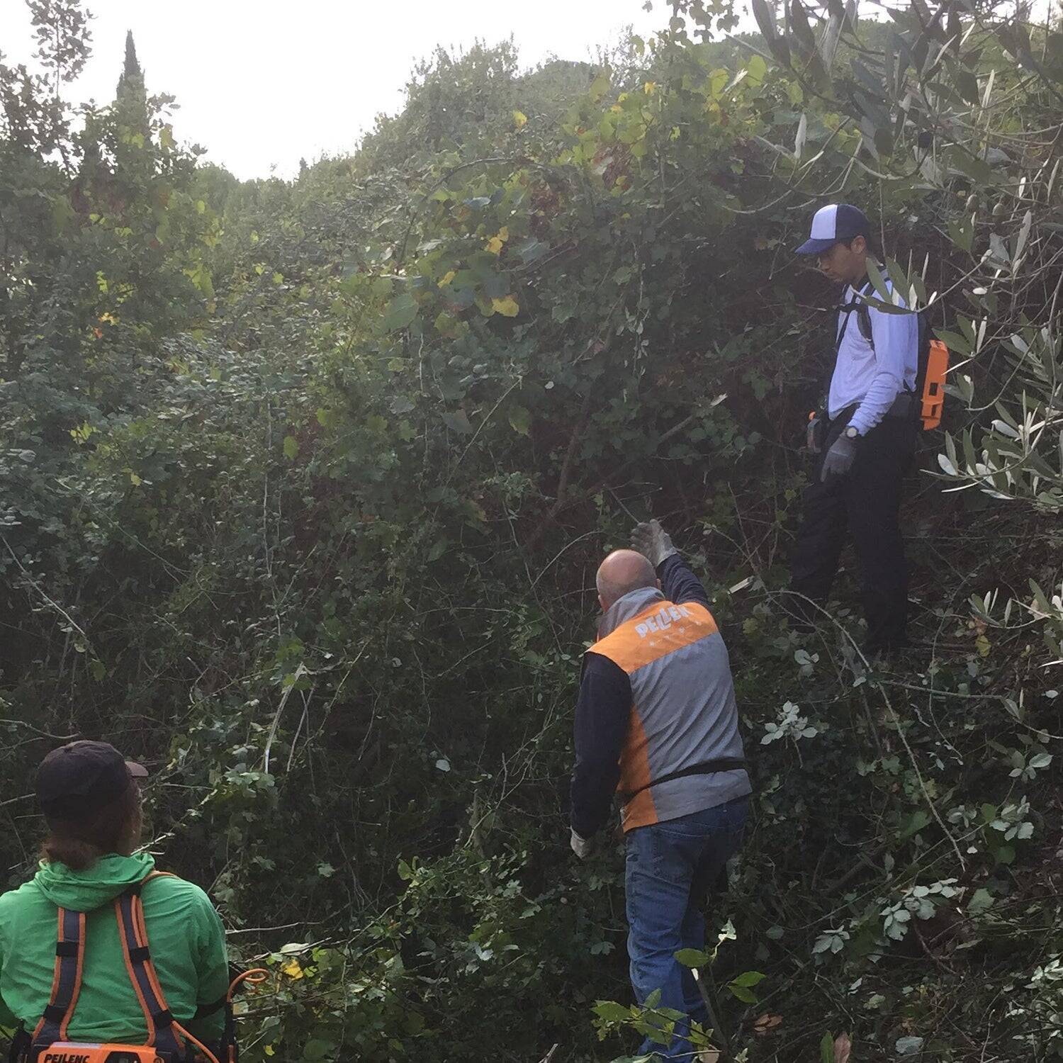 イタリア発、オリーブがつなぐ地方の再生。サラリーマンから転身した農園主が挑む「農家を経営者に、荒れ地を農園にする」おいしい取り組み。「農家の58.7%が70歳以上」という少子高齢化時代に生き残る戦略