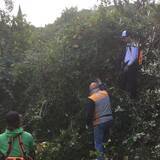 「イタリア発、オリーブがつなぐ地方の再生。サラリーマンから転身した農園主が挑む「農家を経営者に、荒れ地を農園にする」おいしい取り組み。「農家の58.7%が70歳以上」という少子高齢化時代に生き残る戦略」の画像5