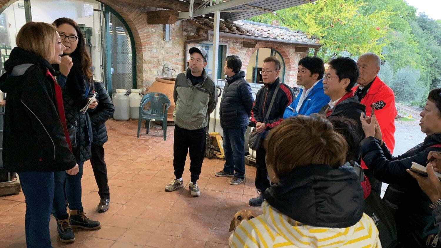 イタリア発、オリーブがつなぐ地方の再生。サラリーマンから転身した農園主が挑む「農家を経営者に、荒れ地を農園にする」おいしい取り組み。「農家の58.7%が70歳以上」という少子高齢化時代に生き残る戦略