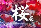 「お台場アクアリウムにて 桜が名前の由来となった金魚「桜琉金」「桜錦」「桜東錦」が勢揃いした　お花見シーズン限定の企画展「桜展 - 2023」が開催！」の画像1