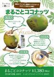 「ココナッツ専門店『kumacoco(クマココ)』にてフィリピン直送の希少なヤングココナッツをまるごと楽しめる新メニューが登場！「まるごとココナッツ」「生ココナッツウォーター」販売」の画像1