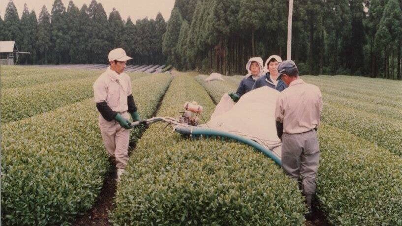 30歳で地元に戻り、家業の茶園を継いだ3代目の挑戦。お茶の先にある余韻のある暮らしを世界中に届けるために。