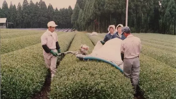 「30歳で地元に戻り、家業の茶園を継いだ3代目の挑戦。お茶の先にある余韻のある暮らしを世界中に届けるために。」の画像