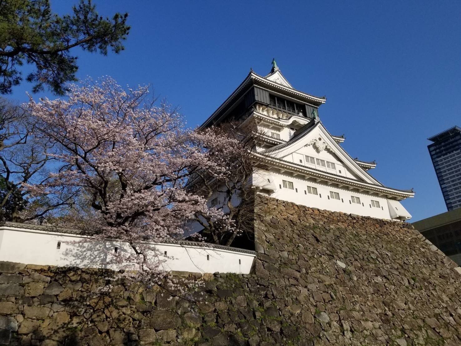 “地元愛と熱量” で発刊を掴んだ、最新刊『地球の歩き方 北九州市』の仕掛け人とその誕生ストーリー~全国書店での販売予約が開始~