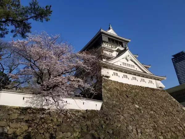 「“地元愛と熱量” で発刊を掴んだ、最新刊『地球の歩き方 北九州市』の仕掛け人とその誕生ストーリー~全国書店での販売予約が開始~」の画像