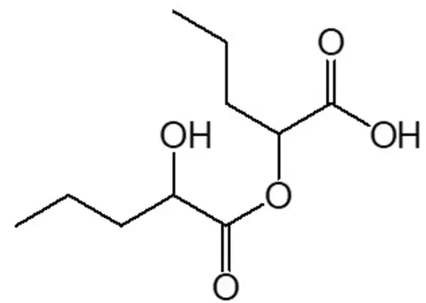 プロゲステロン膜受容体の新規拮抗物質を同定 -新規医薬品候補の発見-
