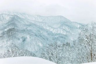 【参加者募集】《越後妻有の冬 2026》アケヤマシンポジウム「都市と山、共に生きる方法を考える」