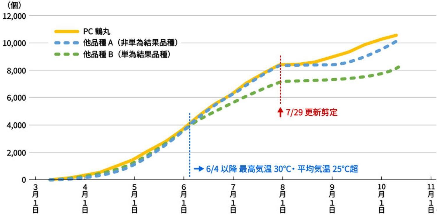 ナス栽培の未来を変えた一瞬の“気づき”‐単為結果品種誕生と産地との歩み‐