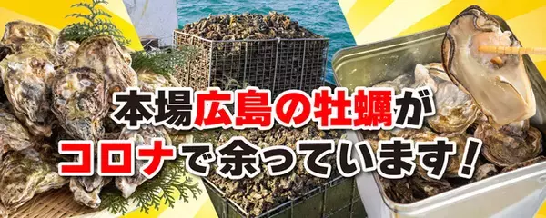 「広島の本場の牡蠣がコロナで余っています！高知かわうそ市場でキャンペーン販売開始！」の画像