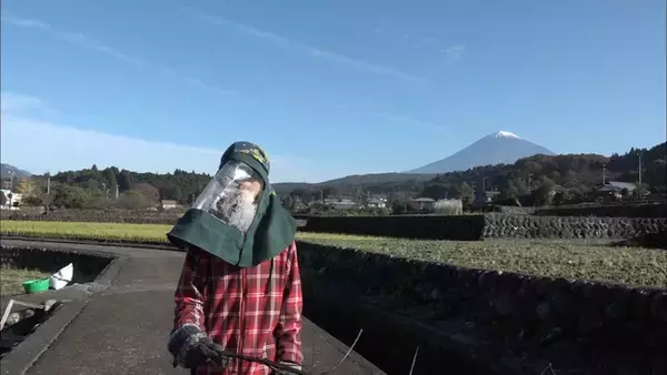 SBSTV「おひさま家族～りんくん一家の17年～」第６４回ニューヨークフェスティバル（New York Festivals）  　 ２０２２ 受賞！！！