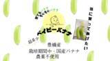 「【国産】栽培期間中農薬不使用だから赤ちゃんが食べても安心！育てるバナナ・もぐもぐバナナ・その名も「ベイビーバナナ！」を発売」の画像1