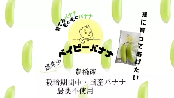 「【国産】栽培期間中農薬不使用だから赤ちゃんが食べても安心！育てるバナナ・もぐもぐバナナ・その名も「ベイビーバナナ！」を発売」の画像