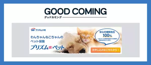 SBIプリズム少短のペット生活総合補償保険「プリズムペット」取り扱いを開始しました | 保険の相談サービス「グッドカミング」