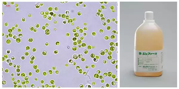 ユーグレナ社、「ジェファー液」等に関する事業譲受のお知らせ