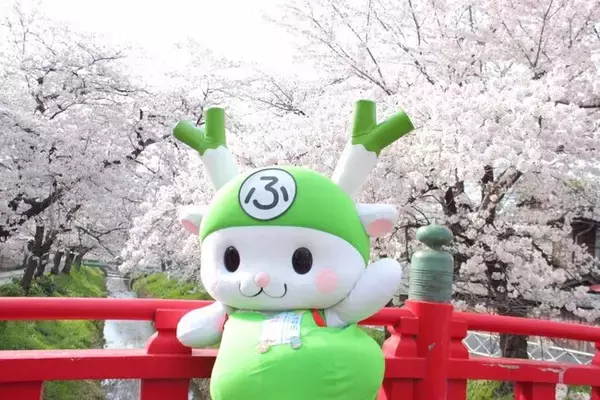 【埼玉県深谷市】満開の桜をもう一度！～渋沢栄一のふるさと深谷～「深谷の桜、復活プロジェクト」始動。
