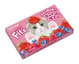 「猫の日に合わせて、ニャンコ仕様のFit’s登場！まるで猫ちゃんの肉球のようなもちもち食感「Fit’s＜ふニャンとベリー＞」2024年2月13日(火)新発売」の画像1
