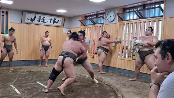 【新プラン】お相撲の朝稽古見学（ちゃんこ鍋朝食付き）と神田川クルーズを体験するツアー