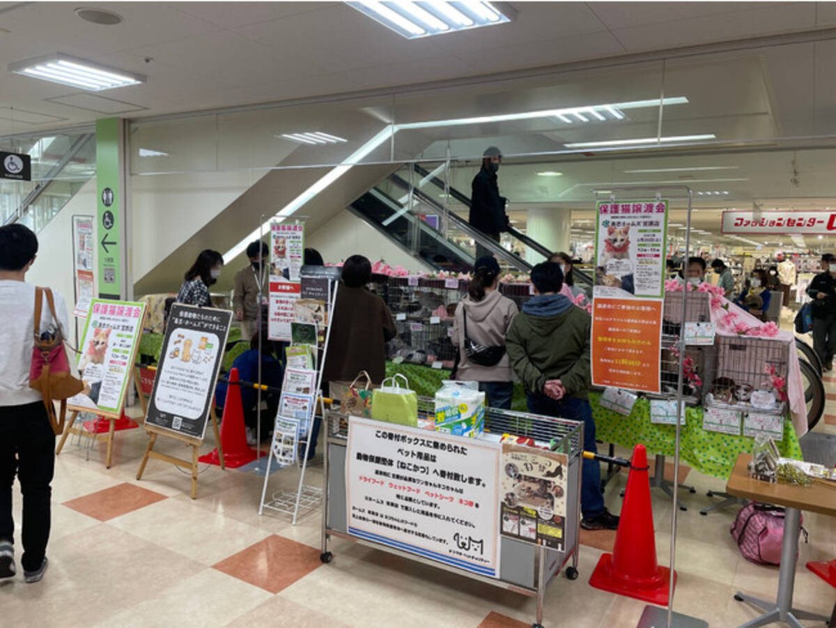 シマホペットチャリティー 保護動物譲渡会の開催店舗を４月より２４店舗に拡大 22年4月1日 エキサイトニュース