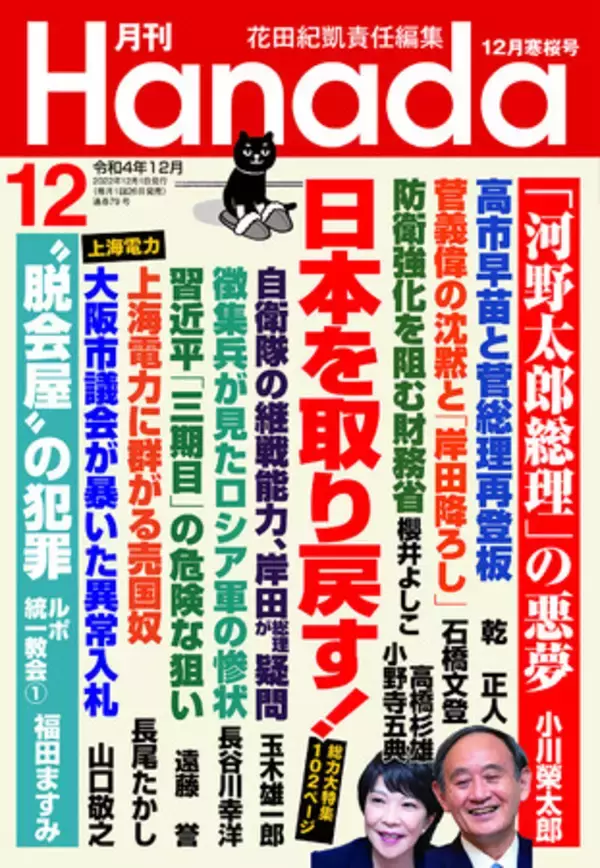 「大阪市議会で暴かれた上海電力の「異常入札」」の画像