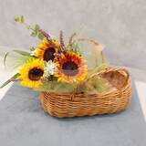 「新幹線でヒマワリがやってくる！JR東日本グループ【はこビュン】とのコラボレーション企画「新鮮！ヒマワリフェア」４店舗同時開催」の画像1