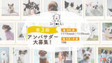 「本日11月15日（水）からエントリー開始！「このこのごはん」を販売するペットフードブランド《コノコトトモニ》が第3期公式アンバサダーを大募集！【株式会社オモヤ】」の画像1