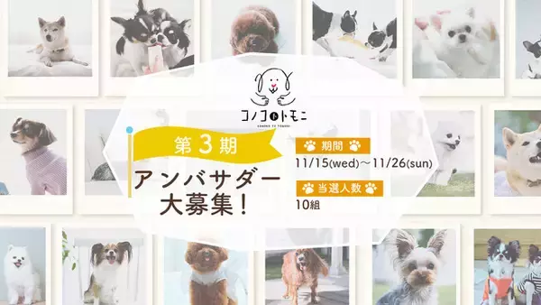 本日11月15日（水）からエントリー開始！「このこのごはん」を販売するペットフードブランド《コノコトトモニ》が第3期公式アンバサダーを大募集！【株式会社オモヤ】