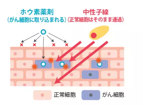 株式会社CICS（リゾートトラスト株式会社の連結子会社）が協力した再発乳がんを対象としたBNCT（ホウ素中性子捕捉療法）の特定臨床研究終了のお知らせ