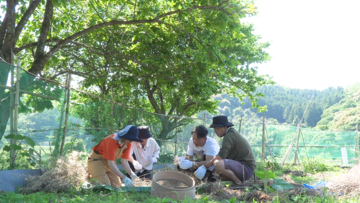 【ＢＳ日テレ】なおみ農園～本格的な夏を前に…！初夏の畑仕事、夏にぴったりの絶品ジュースづくり！～７月９日（木）よる１０時放送