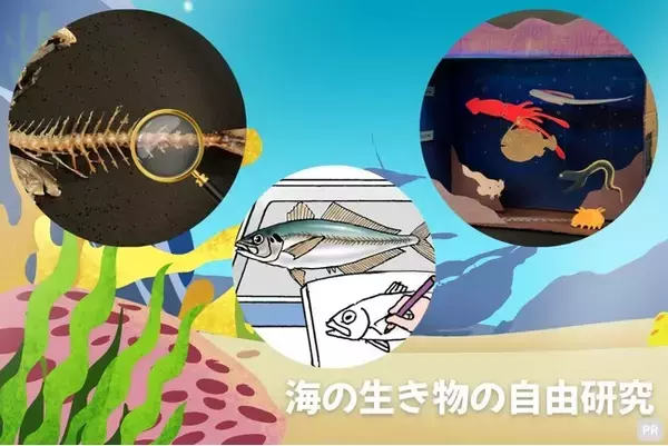 【学研キッズネット】海の生き物について深く知る観察＆工作！　自由研究を通じて作品コンクールに応募しよう！