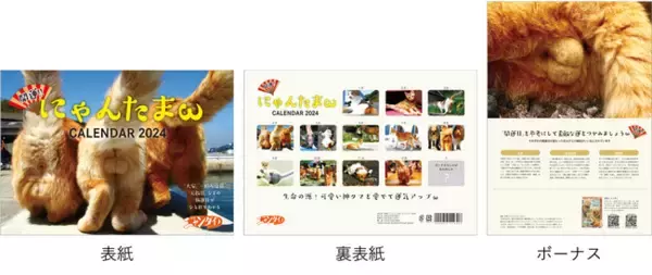 大ヒット御礼！待望の壁掛け仕様となった『開運!! にゃんたまωカレンダー2024』。全ページ画像公開中！