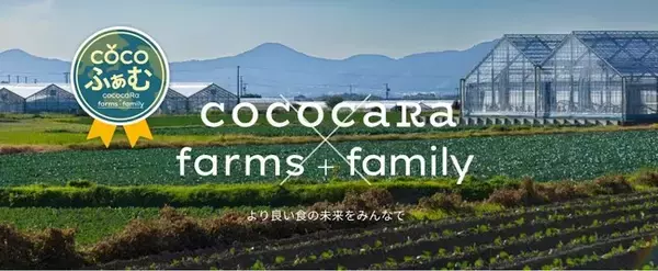 生産者、消費者をつなぐプラットフォームにWEBコンテンツ「cocoふぁむ」をスタート