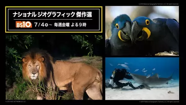 「ナショナル ジオグラフィック傑作選」BS10で7/4(金)～毎週金曜よる９時に無料放送！